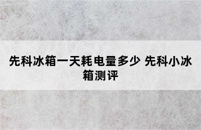 先科冰箱一天耗电量多少 先科小冰箱测评